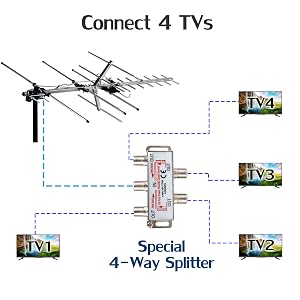 Support Up to 4 TVs